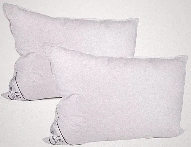 2 Pillow Set Duck Down Feather Pillow Luxury Breathable Natural Bedding 20x28
