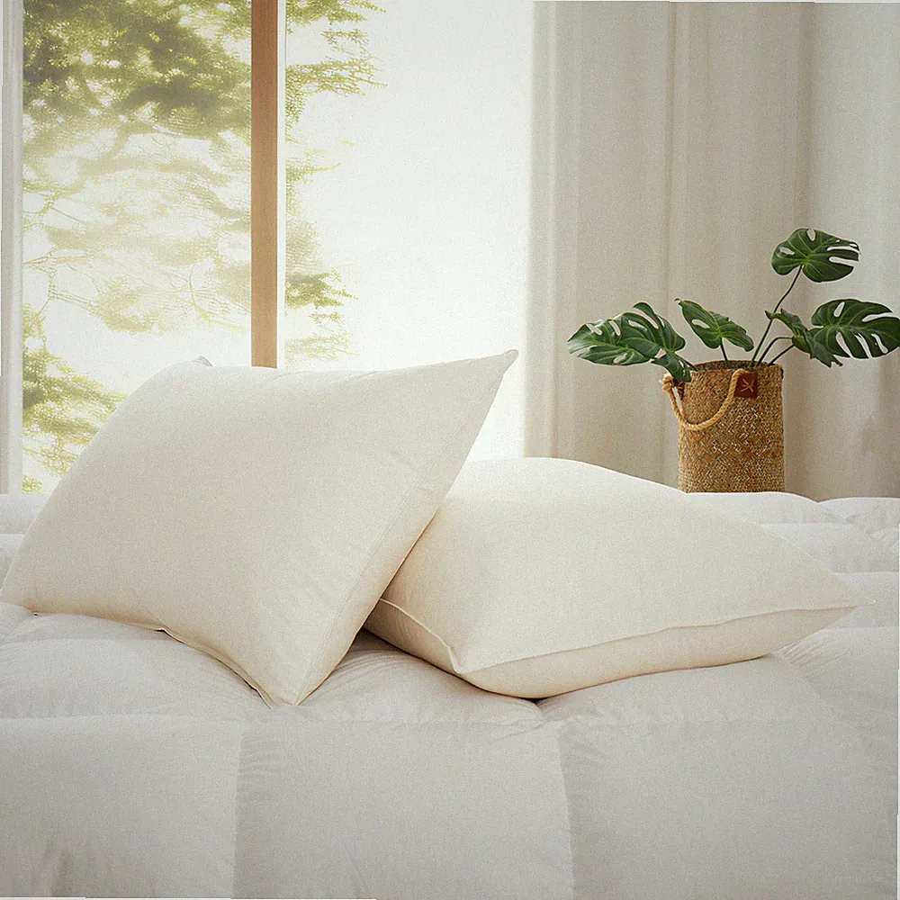 2PCS Bed Pillows 50% Goose Down Feather, 300TC Organic Cotton Shell, Japan Made