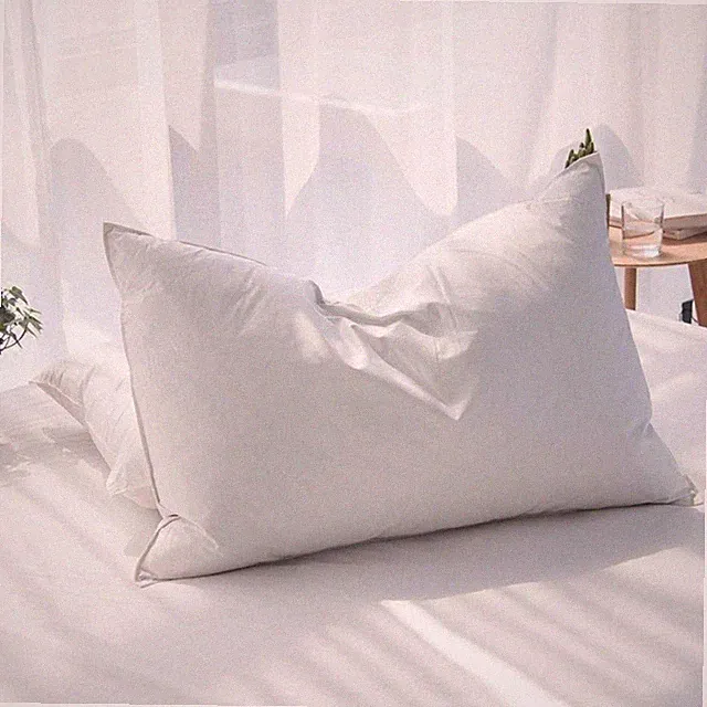Luxury Feathers Down Pillows Queen Size Set of 2, Hotel Quality Fluffy Bed Pi...